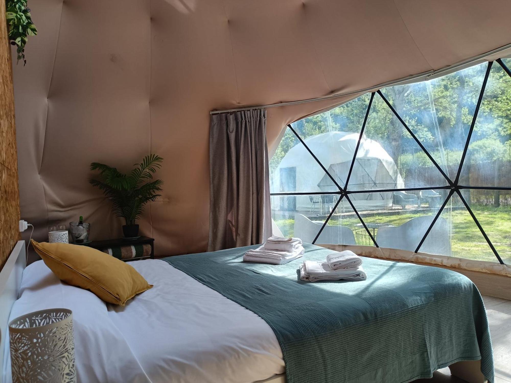 Glamping Canon Del Rio Lobos Ucero Eksteriør bilde