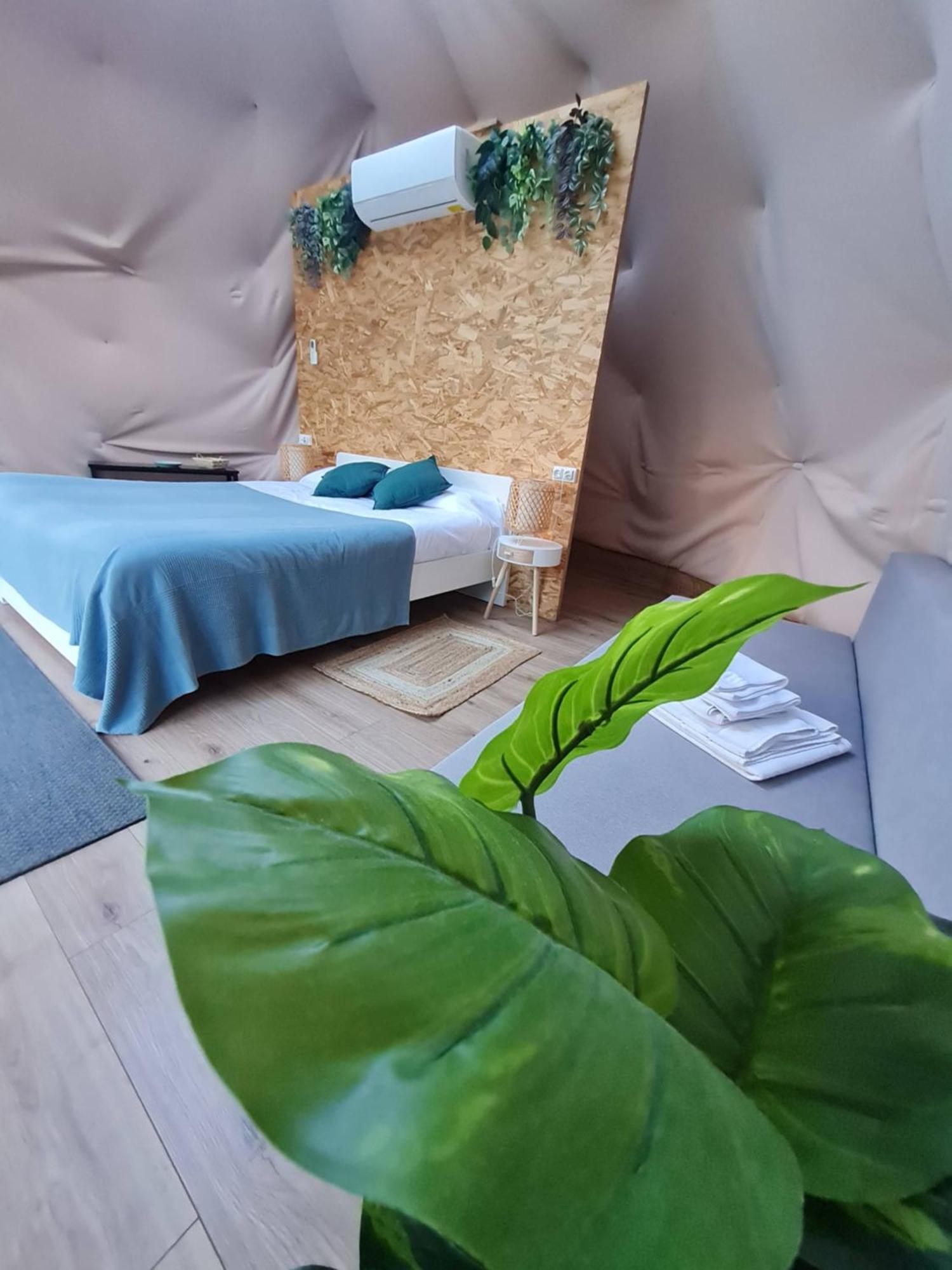 Glamping Canon Del Rio Lobos Ucero Eksteriør bilde